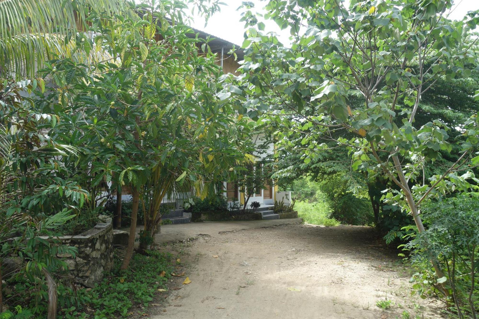 Tarsan Homestay Labuan Bajo Buitenkant foto